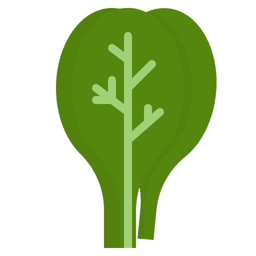 Spinach vegetable organic healthy food icon