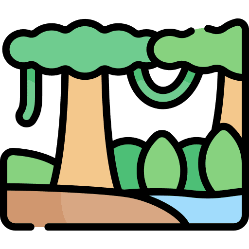 Jungle plant rainforest jungle icon