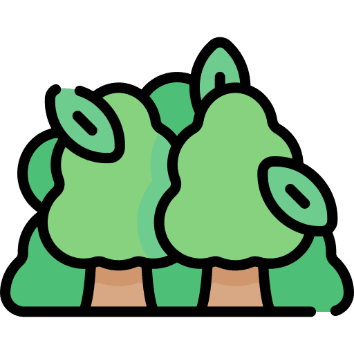 Forest nature pines trees icon