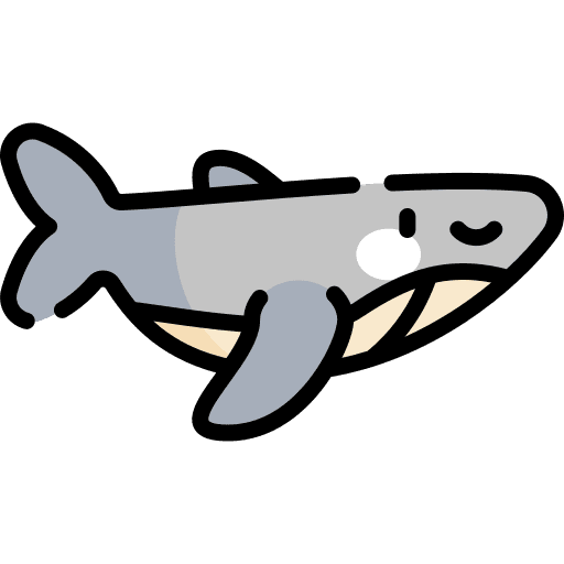Whale animals wildlife zoo icon