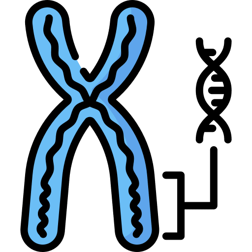 Chromosome genetics biology xx icon