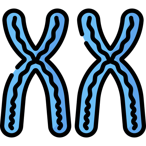 Chromosomes healthcare and medical genetics chromosomes icon