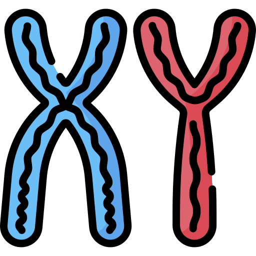 Male chromosomes science chemical icon