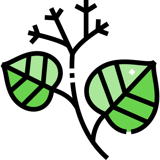 Linden leaf autumn botanical icon