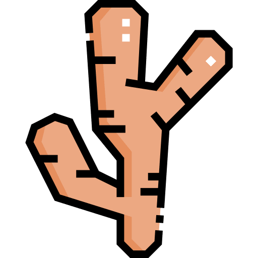 Ginger ginger organic vegetable icon