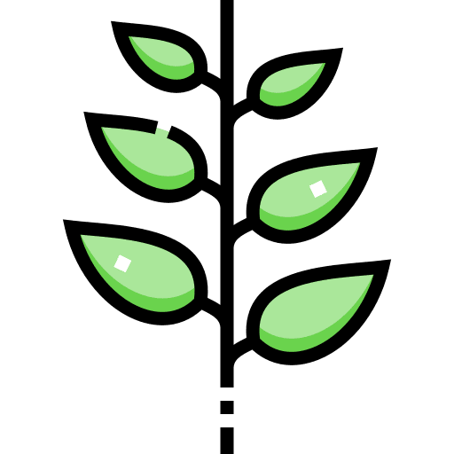 Green tea garden aroma plant icon