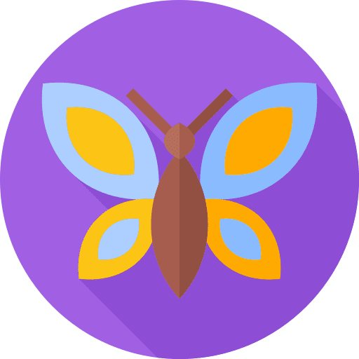 Butterfly spring entomology bugs icon