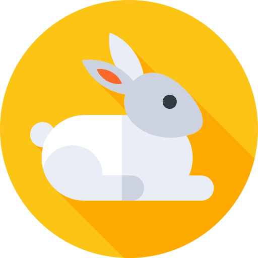 Rabbit bunny animals pet icon