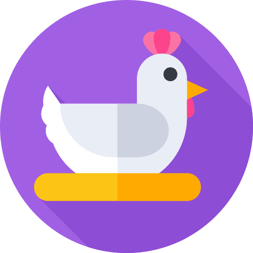 Chicken wild life hen animals icon