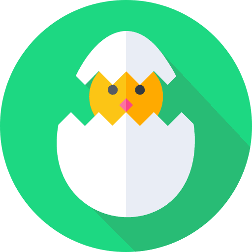 Chick chicken chick spring icon