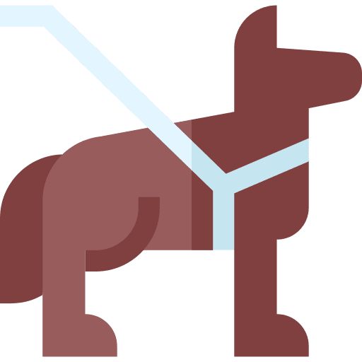 Guide dog healthcare guide dog blind icon