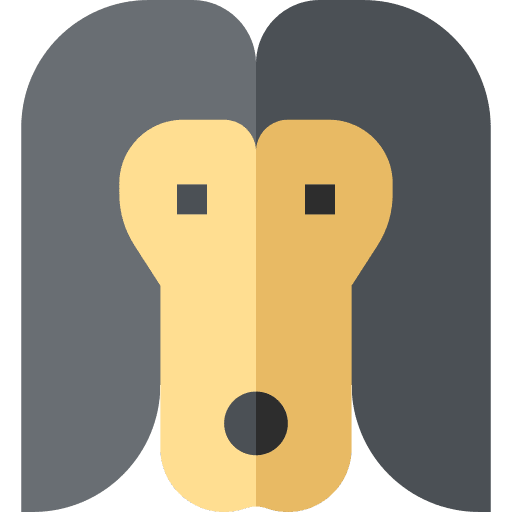 Afghan hound animals mammal afghan hound icon
