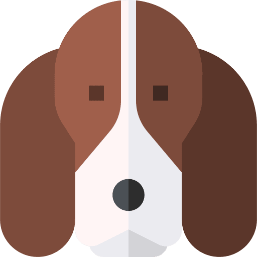 Basset hound dog mammal animal icon