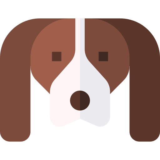 Cavalier king charles spaniel pet cavalier king charles spaniel breed icon