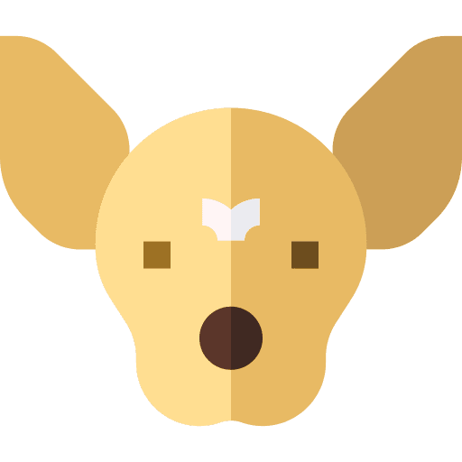 Chihuahua breed dog mammal icon
