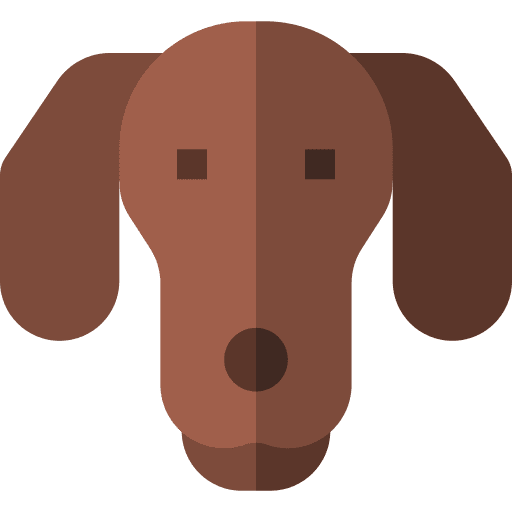 Dachshund dog animal pet icon