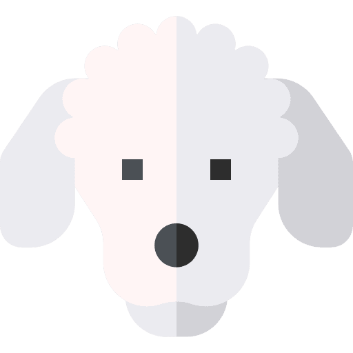 Poodle animals dog breed icon