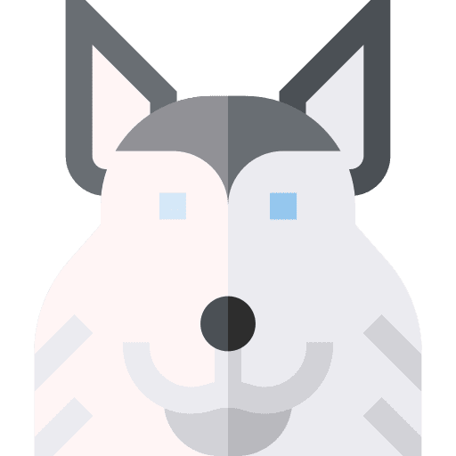 Siberian husky siberian husky animal breed icon