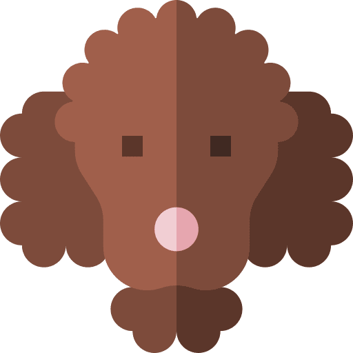 Water dog water dog breed mammal icon