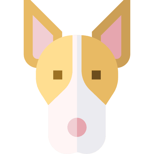 Andalusian hound dog mammal breed icon