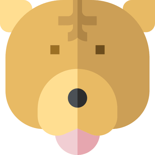 Chow chow chow chow mammal animals icon