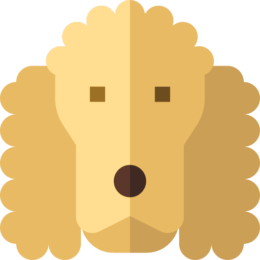 Cocker spaniel breed animals pet icon