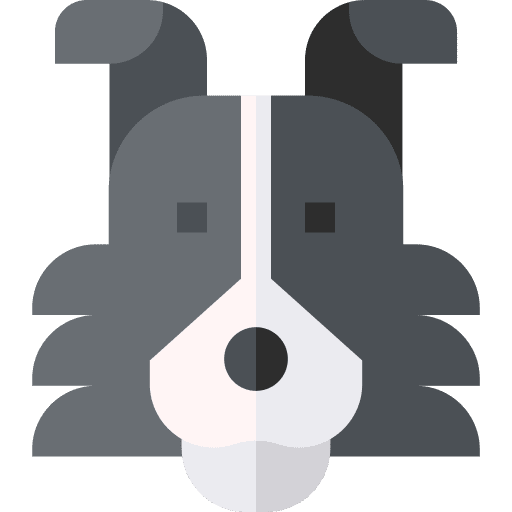 Collie animals mammal puppy icon