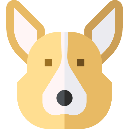 Corgi breed corgi animal icon