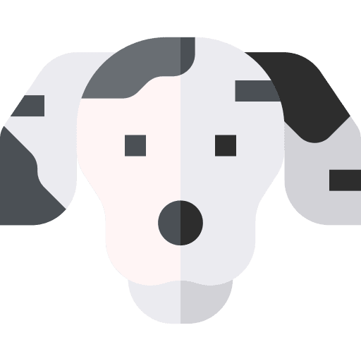 Dalmatian animal dog mammal icon