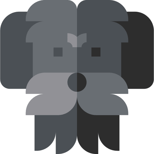 Flanders flanders breed pet icon