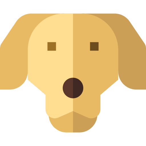 Golden retriever mammal pet golden retriever icon