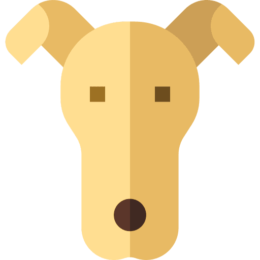 Greyhound animals pet mammal icon