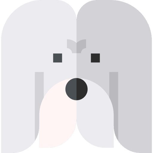 Maltese animals maltese pet icon