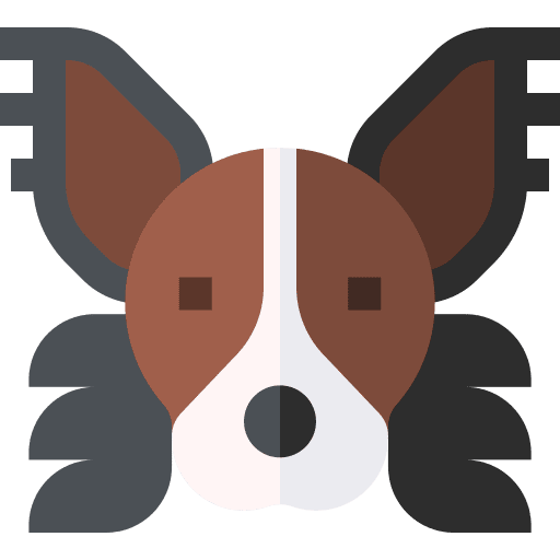 Papillon papillon animal animals icon