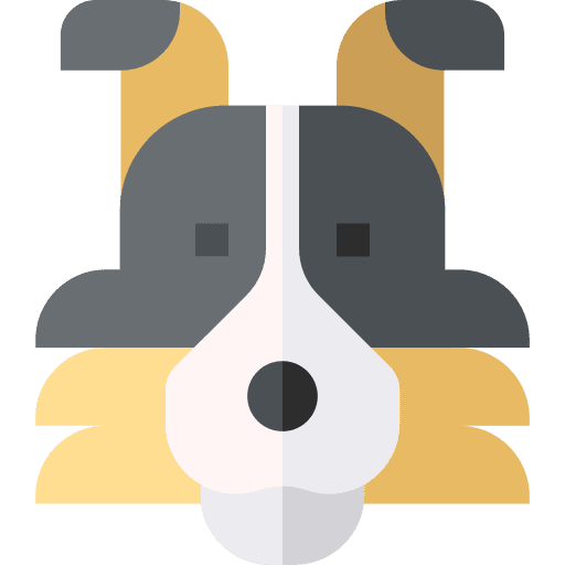 Australian shepherd australian shepherd animal animals icon