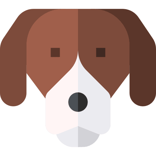 Beagle puppy beagle animals icon