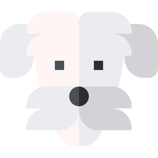 Bichon frise bichon frise animals breed icon