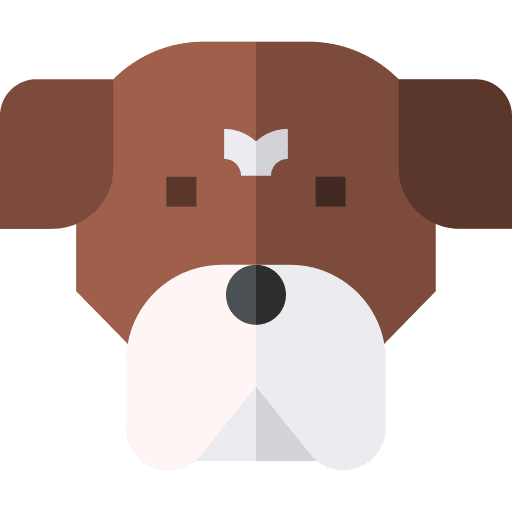 Boxer pet breed boxer icon