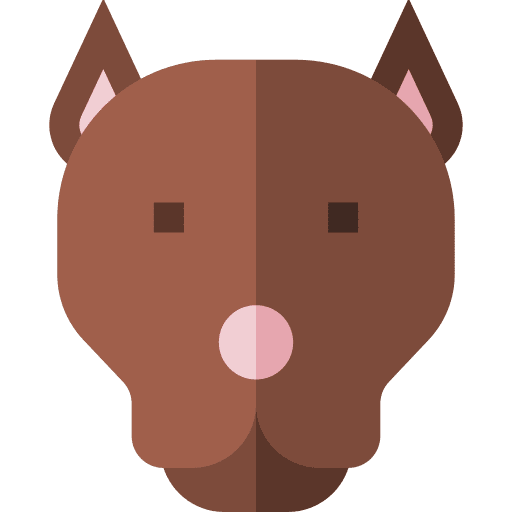 Pitbull animal dog animals icon