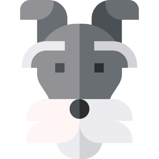 Schnauzer breed animals dog icon