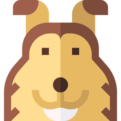 Shetland sheepdog breed shetland sheepdog animal icon