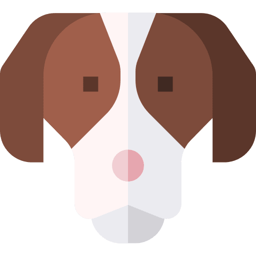 Spaniel spaniel animals dog icon