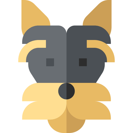 Yorkshire terrier yorkshire terrier animal pet icon