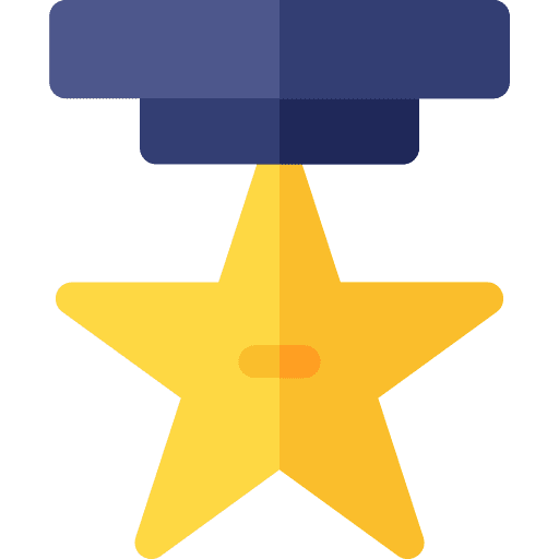 Medal medal winner win icon