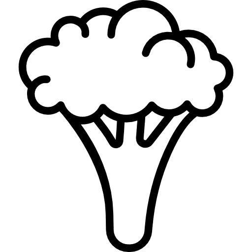 Broccoli porcion vegetarian vegetable diet icon