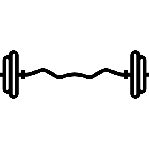 Dumbbells bar excercising gymnasium gymnast icon