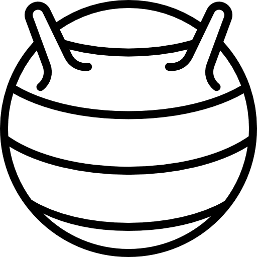 Gymnastic ball gymnasium excercising gymnast icon