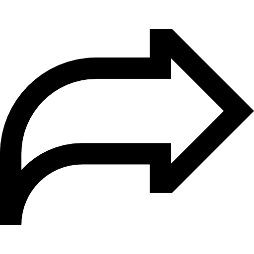 Next skip multimedia option direction icon