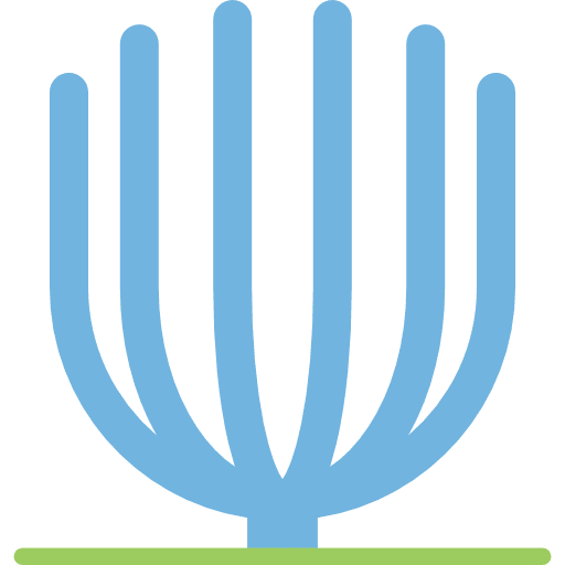 Coral nature animals animal icon