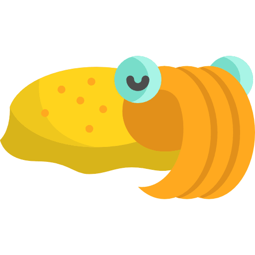Cuttlefish cuttlefish sea life aquarium icon